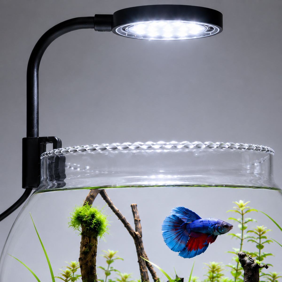 Aquarium Clamp Light 6W n6 neo+ | 360° Flexible Light for Fish Bowls & 1–2 Feet Tanks | Suitable for Betta Fish, Turtle & Planted Aquariums
