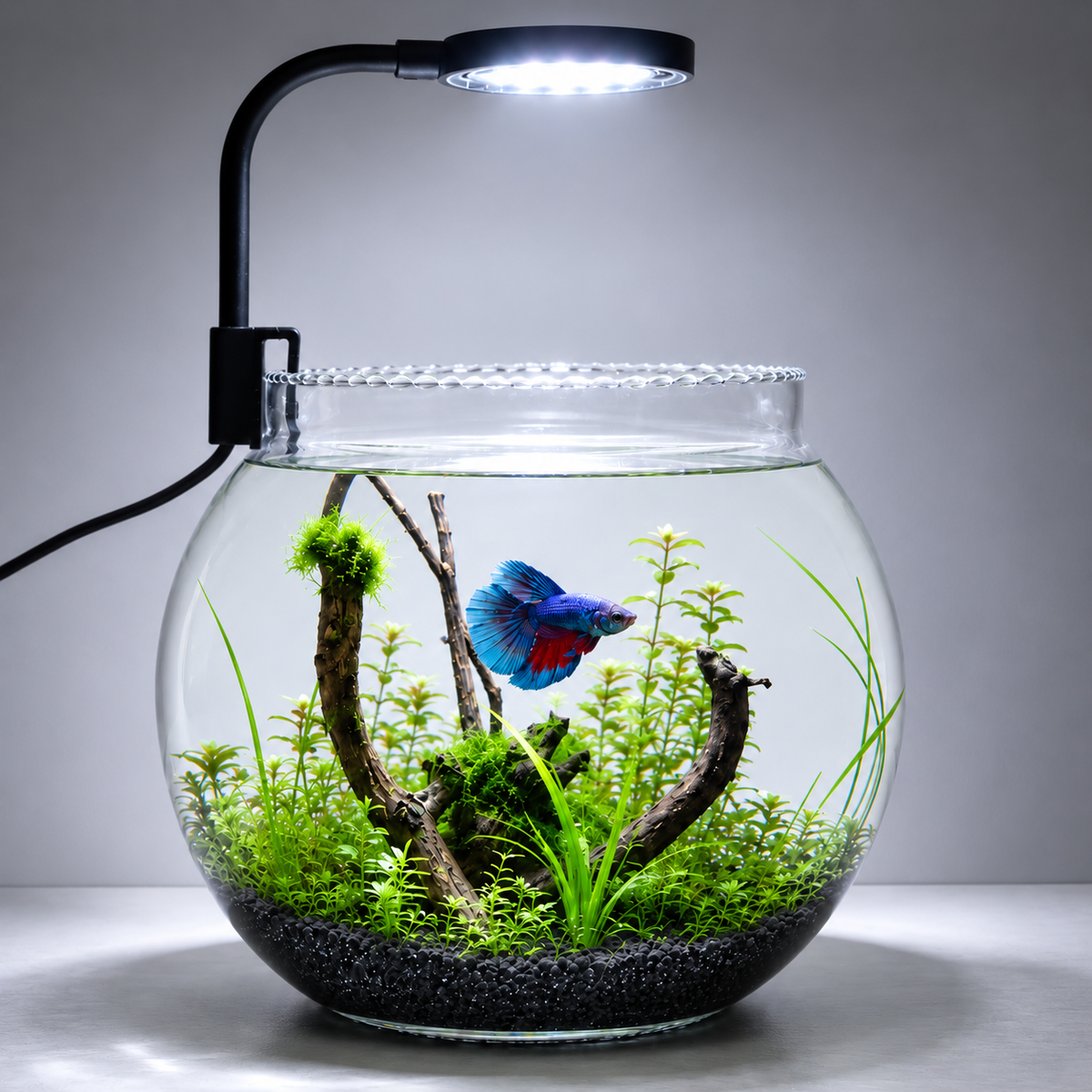 Aquarium Clamp Light 6W n6 neo+ | 360° Flexible Light for Fish Bowls & 1–2 Feet Tanks | Suitable for Betta Fish, Turtle & Planted Aquariums