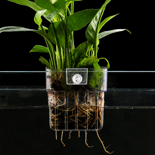 Aquarium plants cup for hydroponic plants